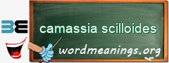 WordMeaning blackboard for camassia scilloides